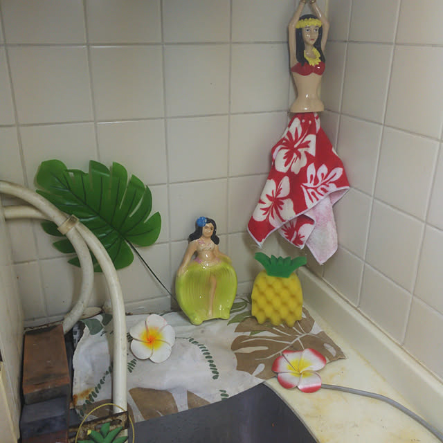 flamenco.sy09110711さんの実例写真