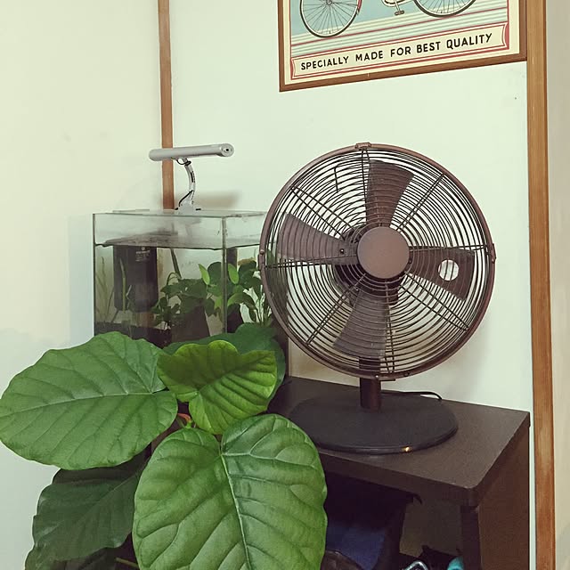 MKroomさんの実例写真