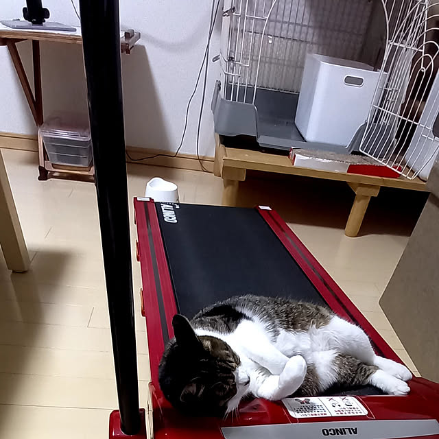 civicglさんの実例写真