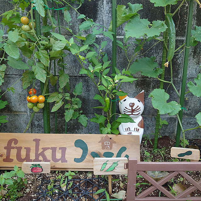 fukuさんの実例写真