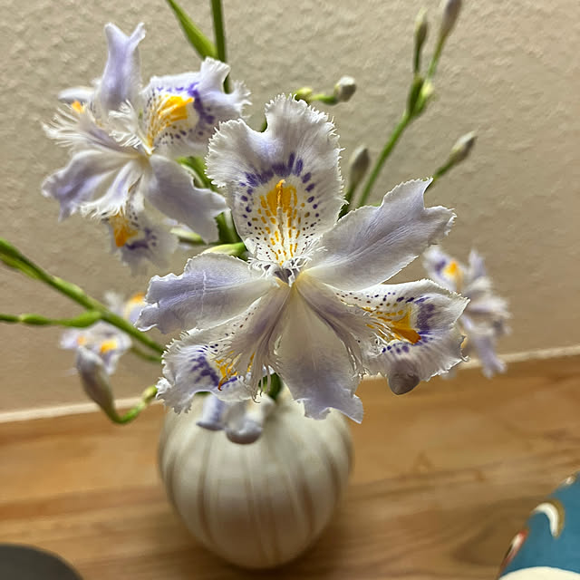 ikubooさんの部屋