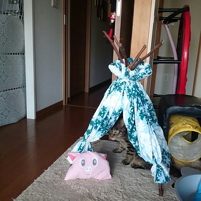 Masamiさんの実例写真
