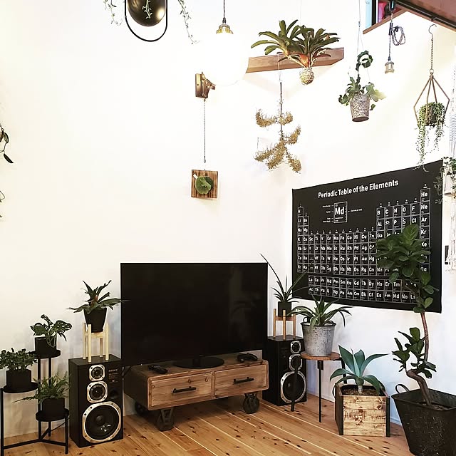 rimoleoさんの部屋