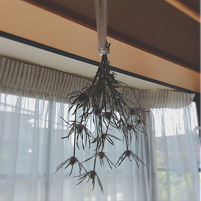 部屋全体のインテリア実例 - 2019-08-08 12:15:21