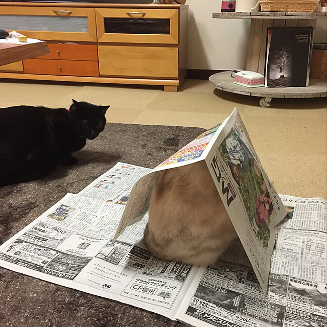 nanaさんの実例写真