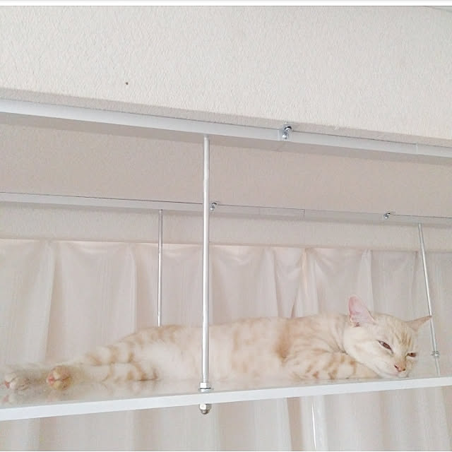 heart.emiemi57.whiteさんの実例写真