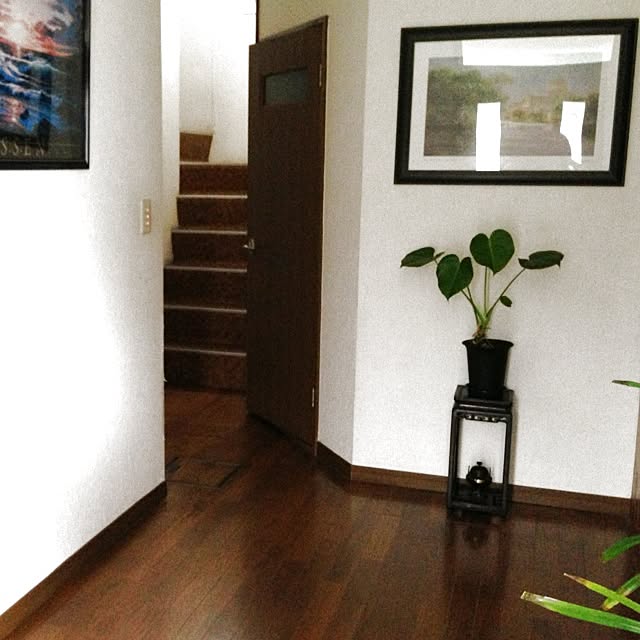 実例写真