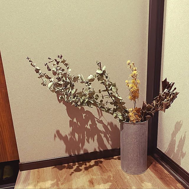 sa-tinaさんの実例写真