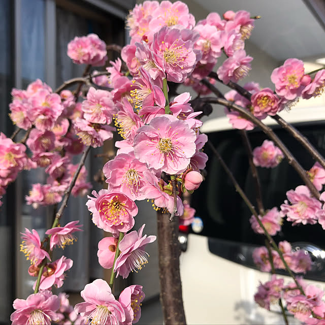 xiaohuai7788さんの実例写真