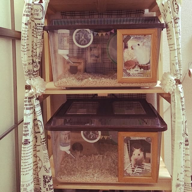 Minoriさんの実例写真