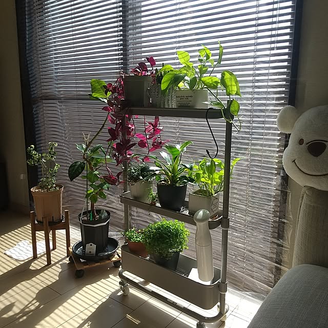 meiさんの実例写真