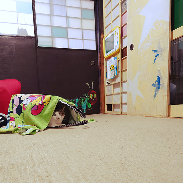 kikuさんの実例写真
