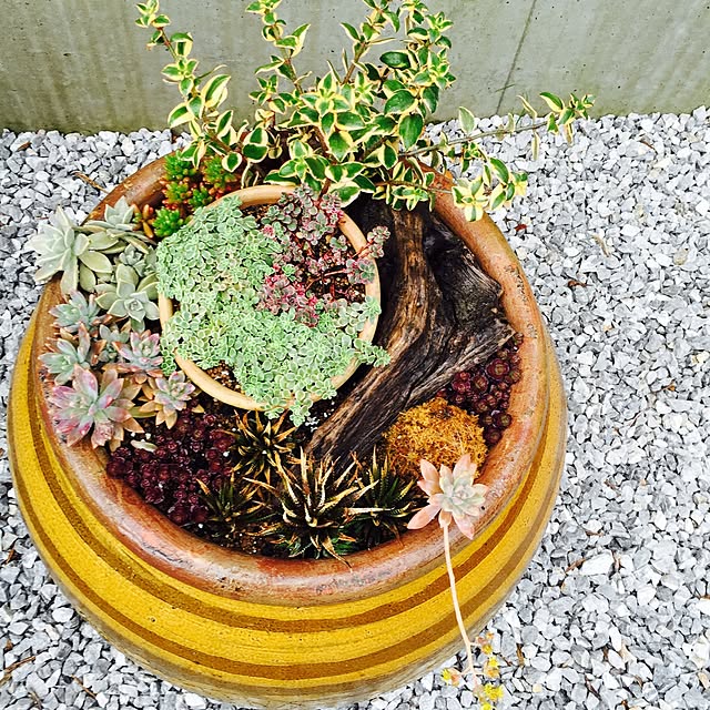 hotarunohahaさんの実例写真