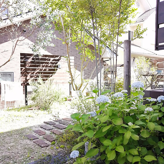 so-bokuさんの実例写真