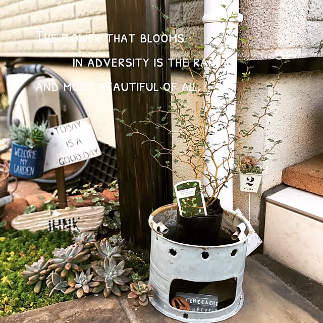 hirari38さんの実例写真