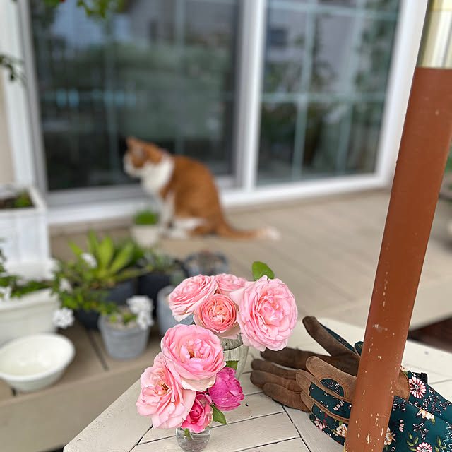 sakuraさんの部屋
