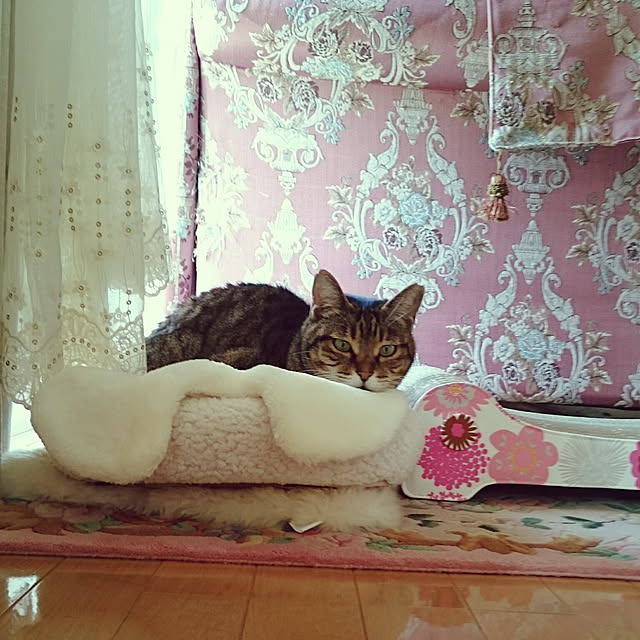 lilyさんの実例写真