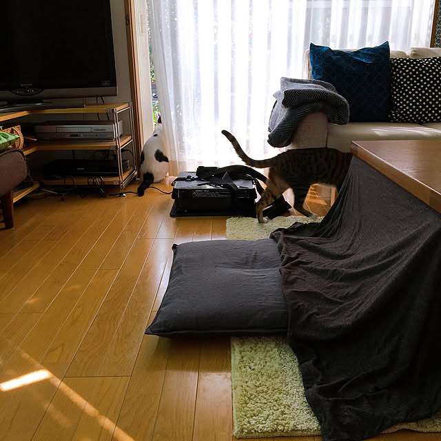 nobikoさんの実例写真