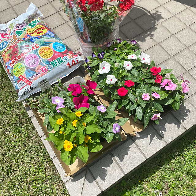 YuuKoさんの実例写真