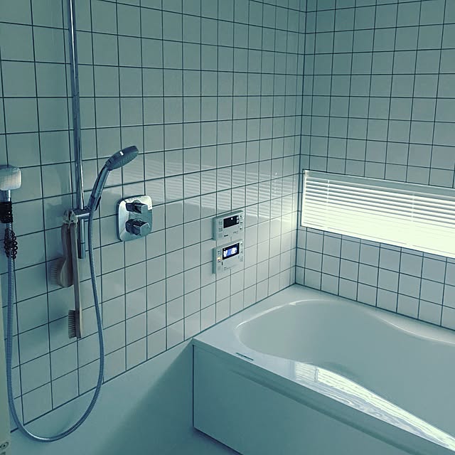 inaginoieさんの実例写真