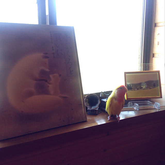 aoinokimiさんの実例写真