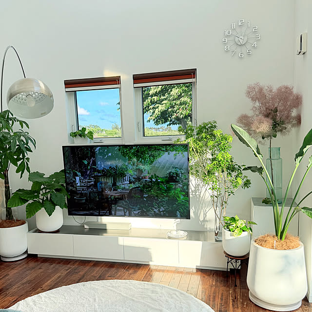 hanahana1444さんの部屋
