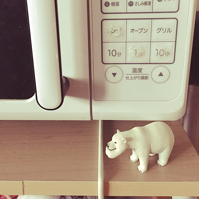 samugarinopunxさんの実例写真