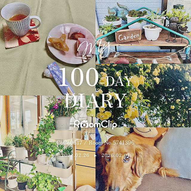 CoCo0617さんの部屋