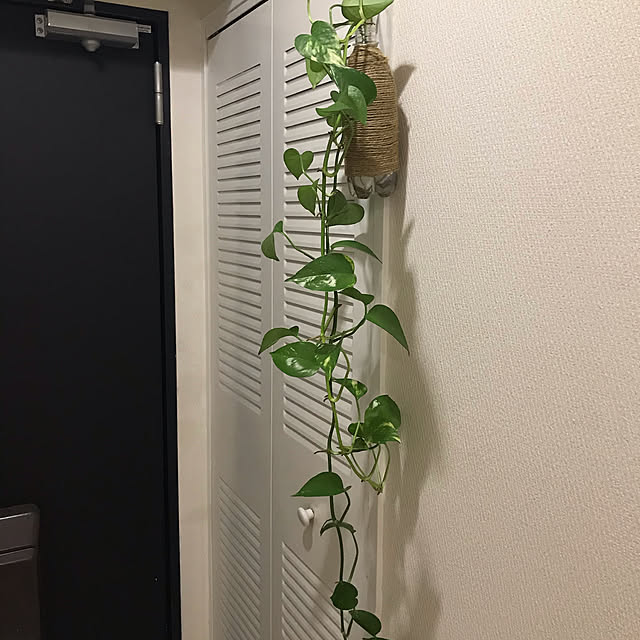 meiさんの実例写真