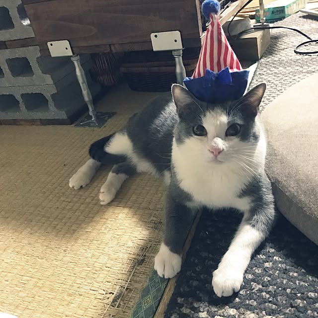 mucc08さんの実例写真