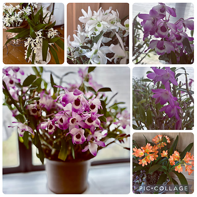 CoCo0617さんの部屋