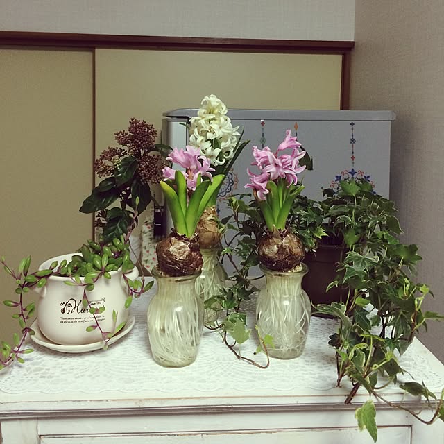 scabiosa1982さんの実例写真