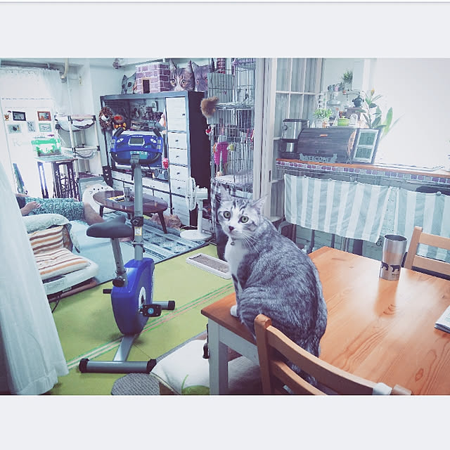 mntcさんの実例写真