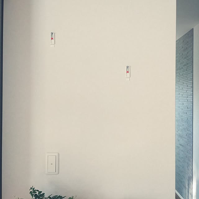 tan5さんの部屋