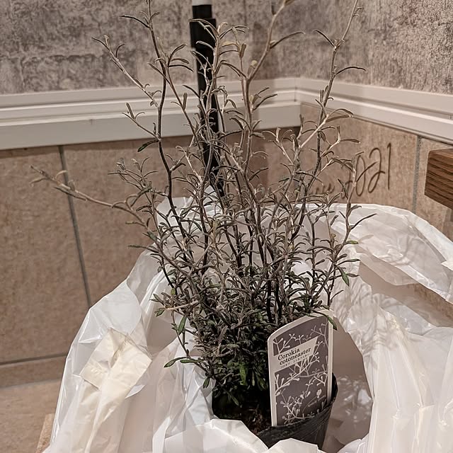 Maroさんの実例写真