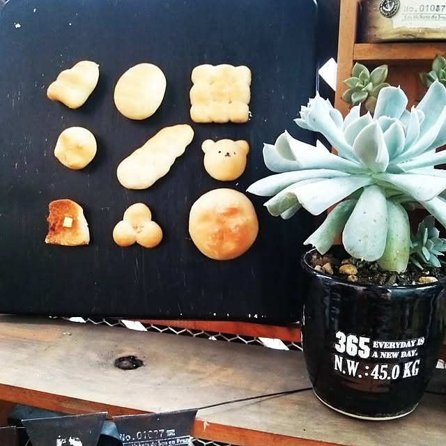 sakusakuさんの実例写真
