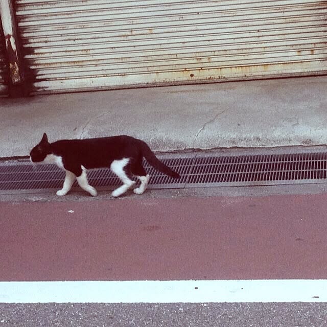 manaeさんの実例写真