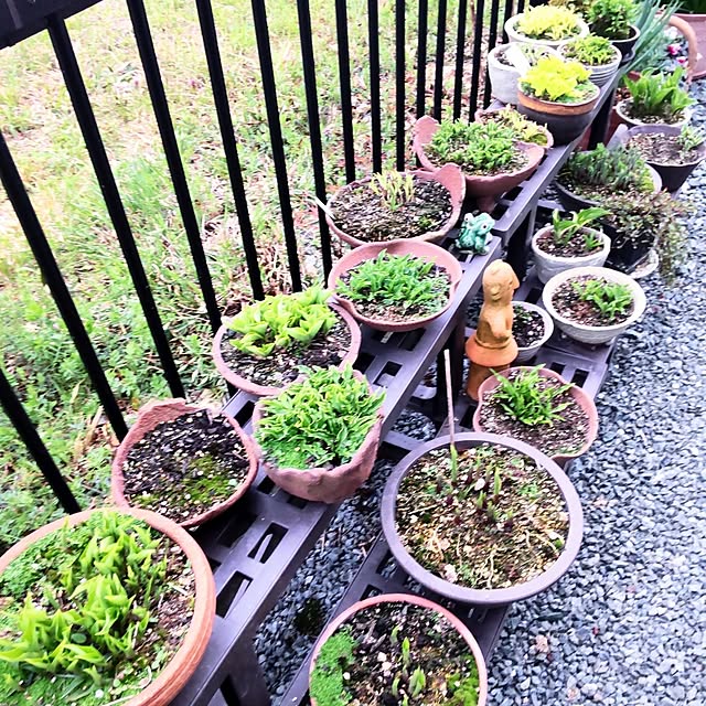 NSDさんの実例写真