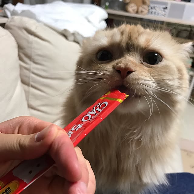roseさんの実例写真