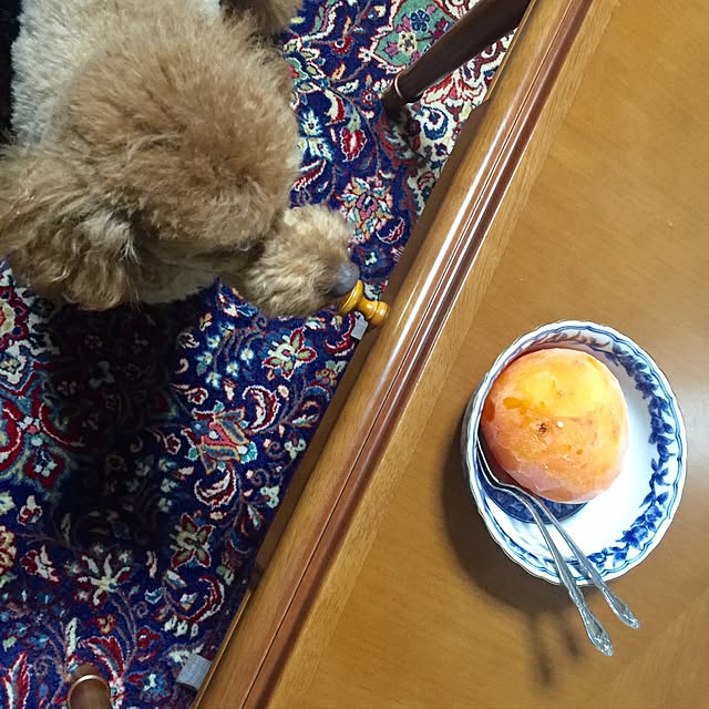 Naomiさんの実例写真