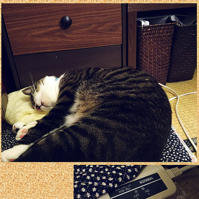 anago106さんの実例写真