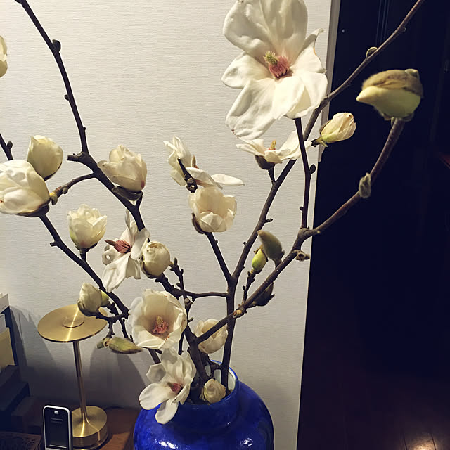 happy-sachiさんの実例写真