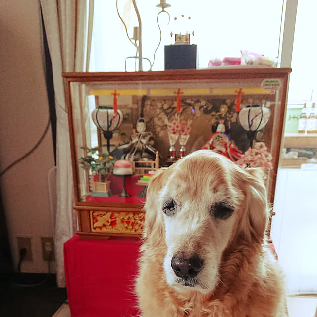 JUNMARIKAさんの実例写真