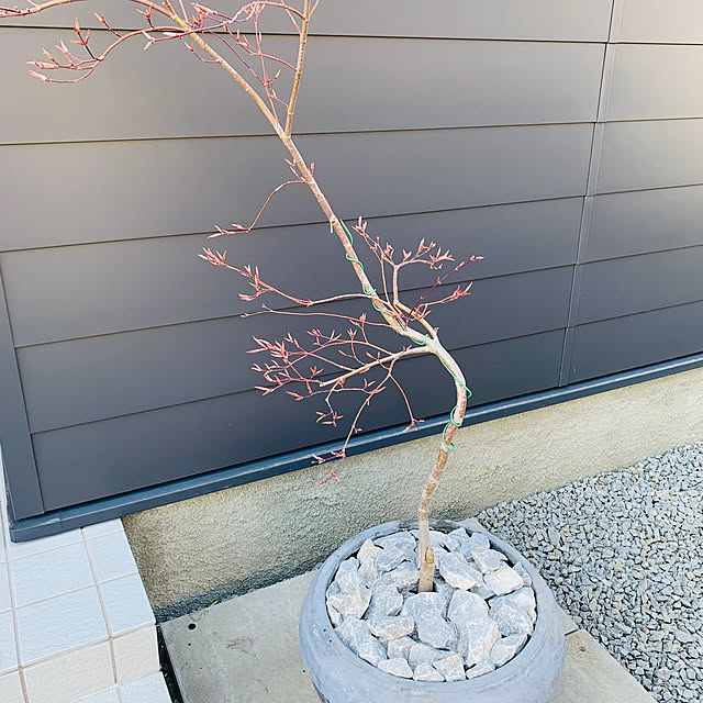 hirayahouse101さんの部屋