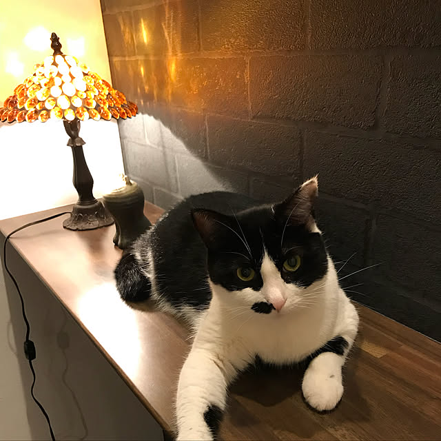 icbさんの実例写真