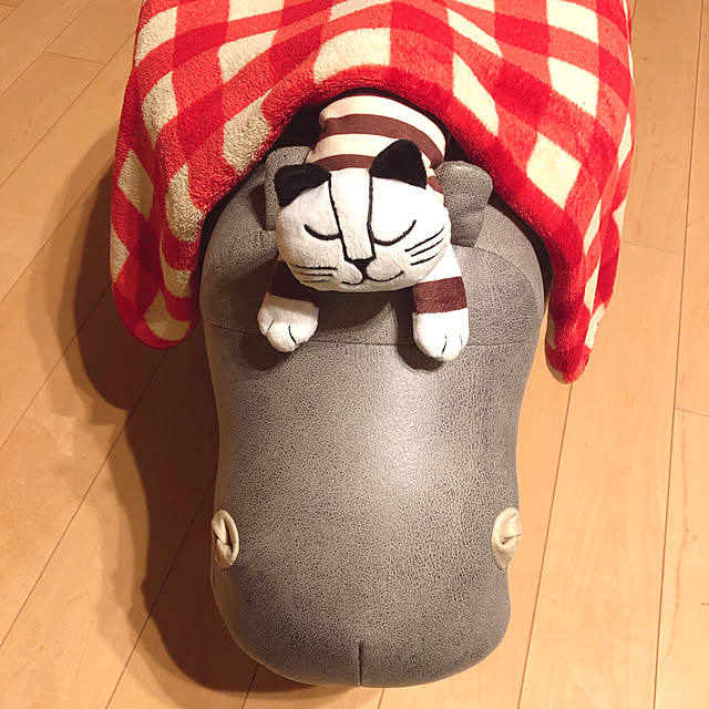 mangoさんの実例写真