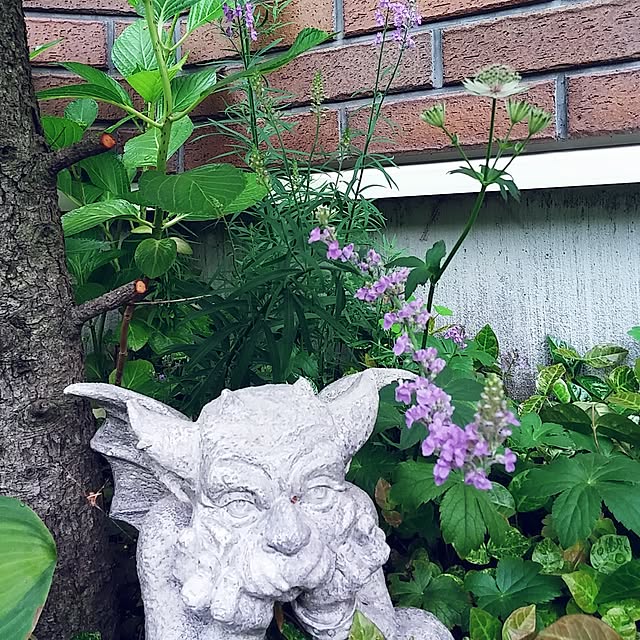 demetanさんの実例写真