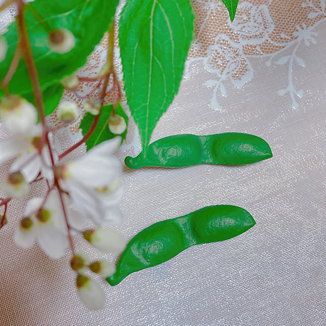 Hanakaさんの部屋