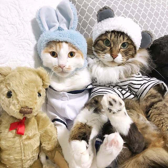 yuchiさんの実例写真