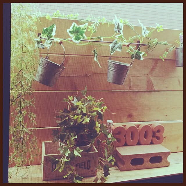 m3003ssさんの実例写真